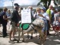 fete 2016 (76).jpg